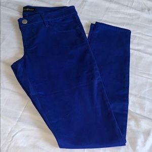 Express Royal Blue Skinny Jeggings